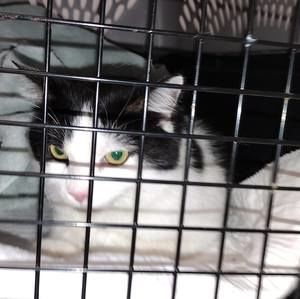 Meet your Posher, Mark